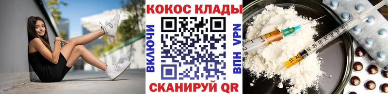дарнет шоп  Суздаль  нарко площадка официальный сайт  COCAIN Fish Scale 