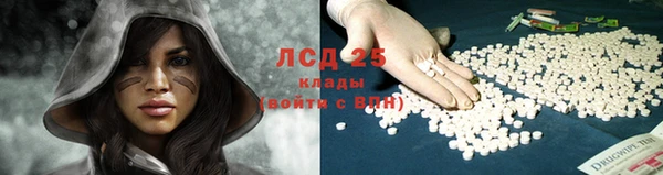 PSILOCYBIN Абдулино