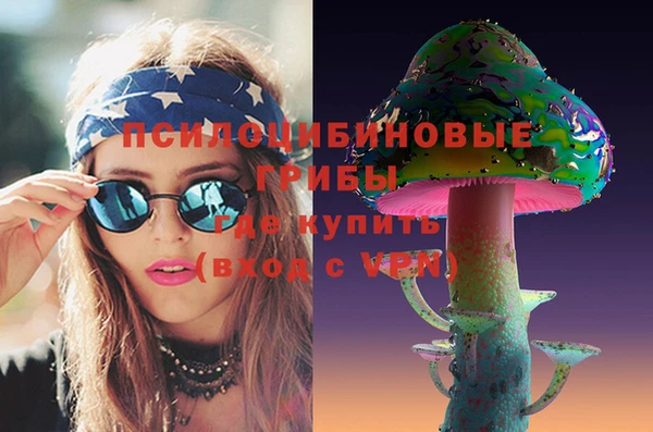 PSILOCYBIN Абдулино