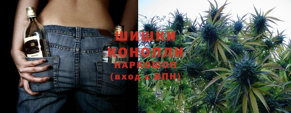PSILOCYBIN Абдулино