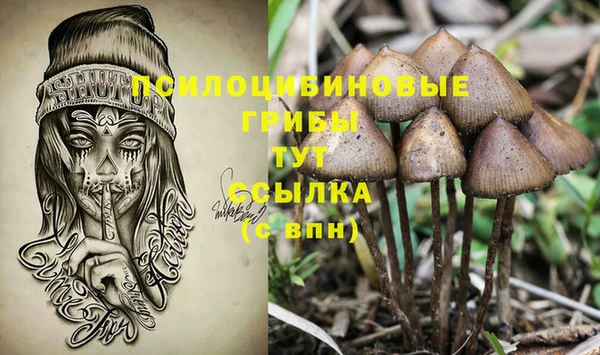 PSILOCYBIN Абдулино