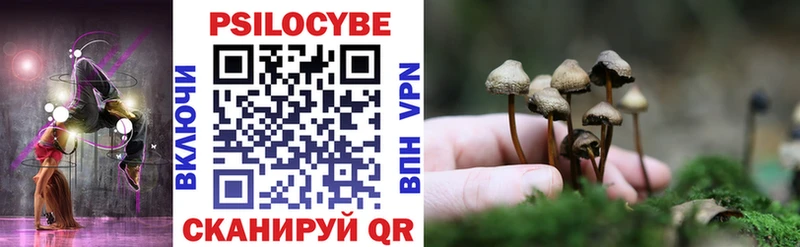 KRAKEN ссылки  Суздаль  Псилоцибиновые грибы ЛСД 