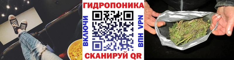 закладка  Суздаль  Каннабис план 